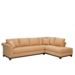 Davenport Collection