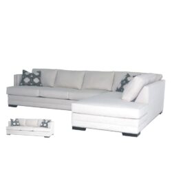 Robertson Collection