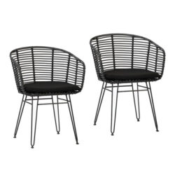 Ishani Dining Chair Set Of 2
