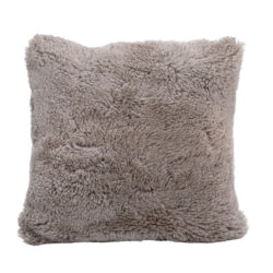 Kiwi Pillow