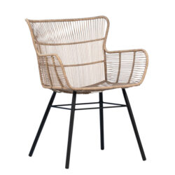 Delfina Outdoor Dining Chair