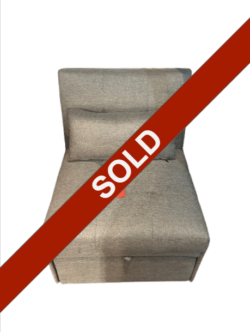 Twin Sleeper Chair (SOLD)